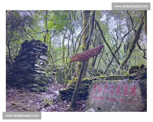 哀牢山脉:探秘云南边陲的自然奇观与人文遗迹之旅