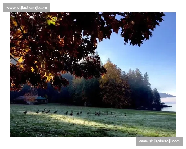 无怨无悔的青春，献给2026的温哥华！