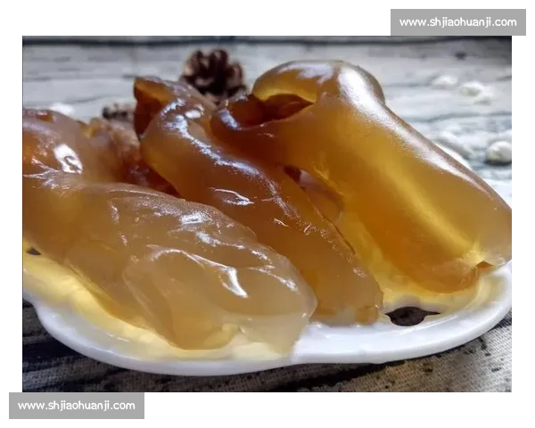 海蜇的独特魅力与营养价值探索，揭开这道海鲜美味的神秘面纱