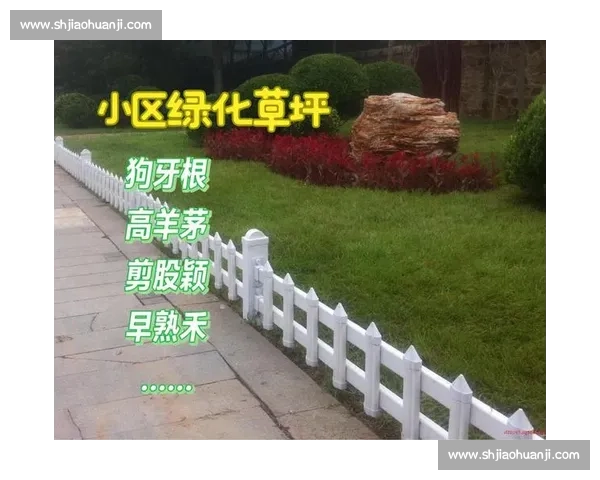 草皮质量堪忧！恶劣场地影响比赛观赏性，亟待改善