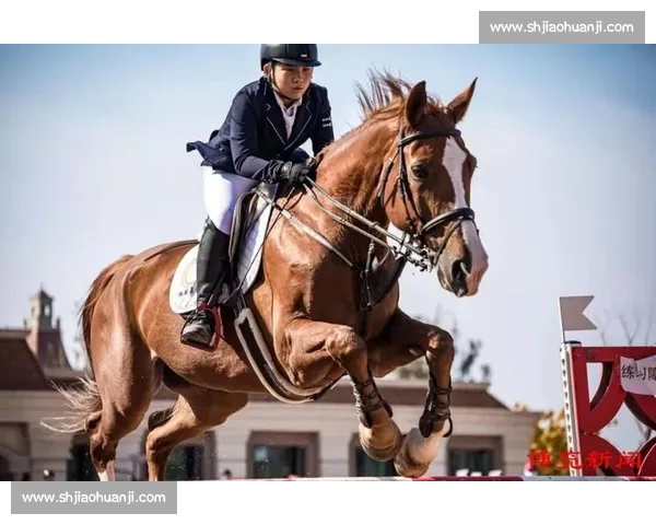 马术优雅驰骋,全运数据榜上的贵族运动