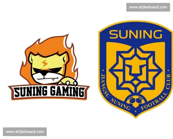 揭秘财富密码！最新国际电竞俱乐部榜出炉，豪门身价令人咋舌！