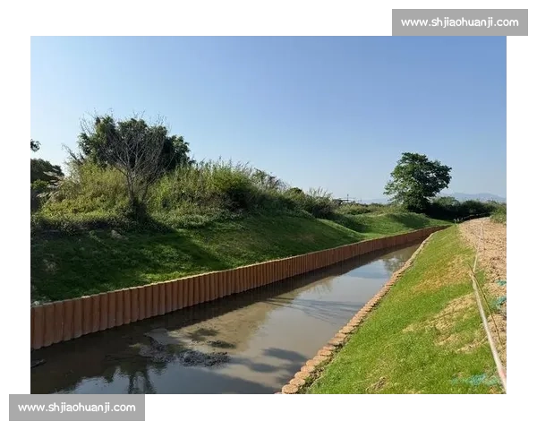 守护绿色电竞,国际合作共建健康赛事环境 守护绿色电竞,国际合作共建健康赛事环境